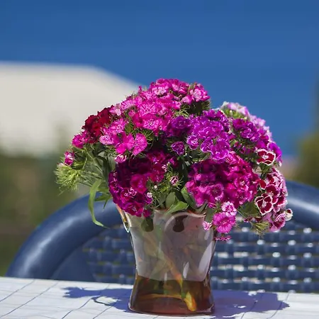 Apartamento Meri Trogir