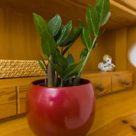 Meri Apartamento *